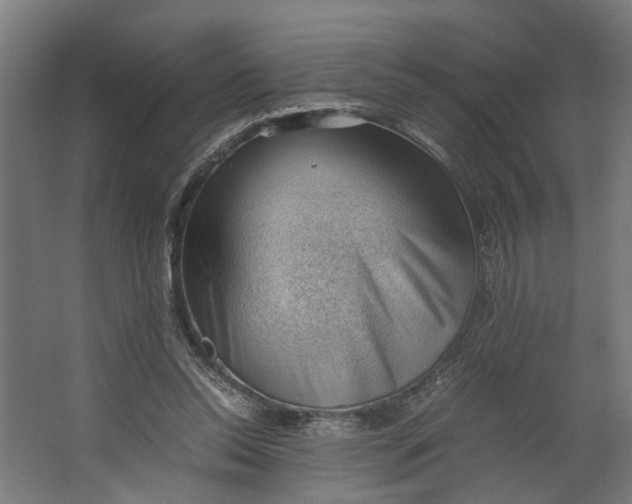 X0000062600350200601040919