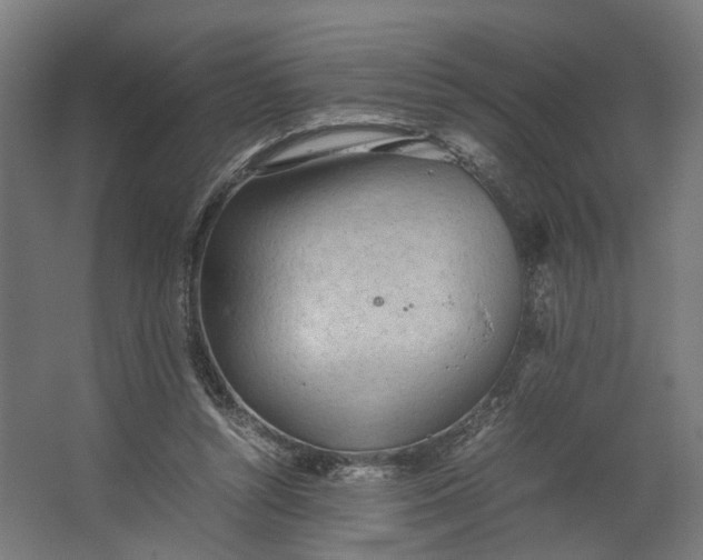X0000062600352200601040919