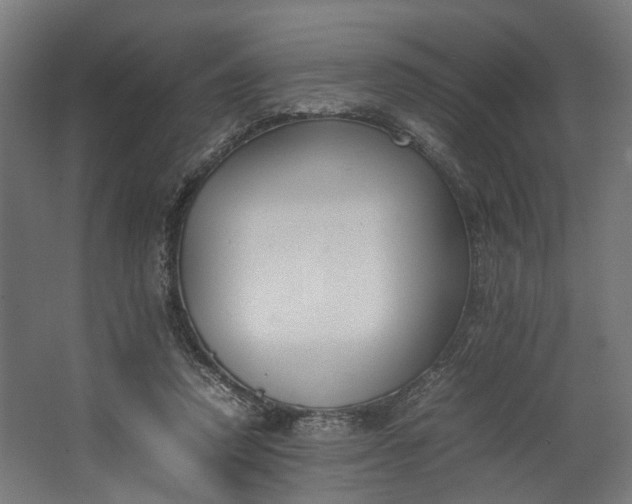 X0000062600354200601040919