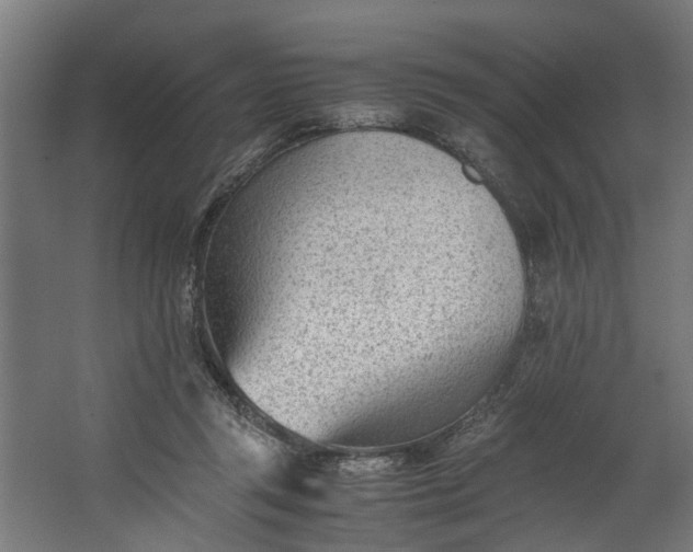 X0000062600357200601040919