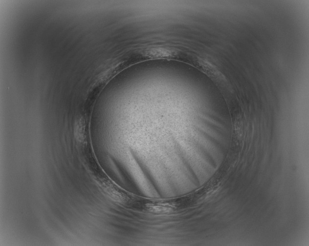 X0000062600359200601040919