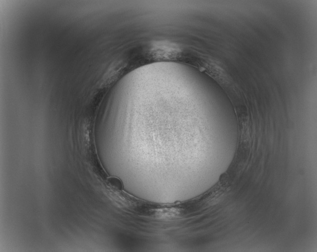 X0000062600363200601040919