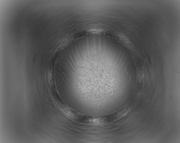 X0000062600365200601040919