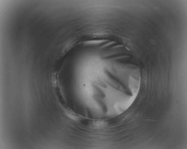 X0000062600383200601040920