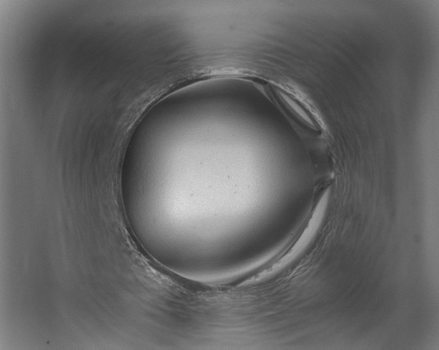X0000062600385200601040919