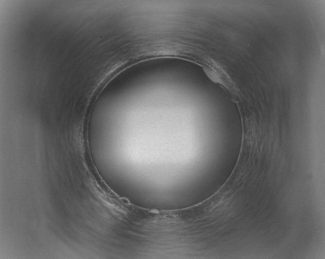 X0000062600386200601040919