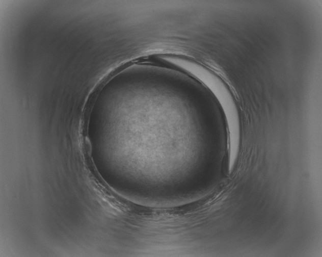 X0000062600387200601040919