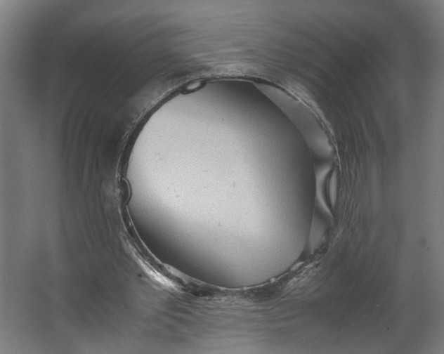 X0000062600389200601040919