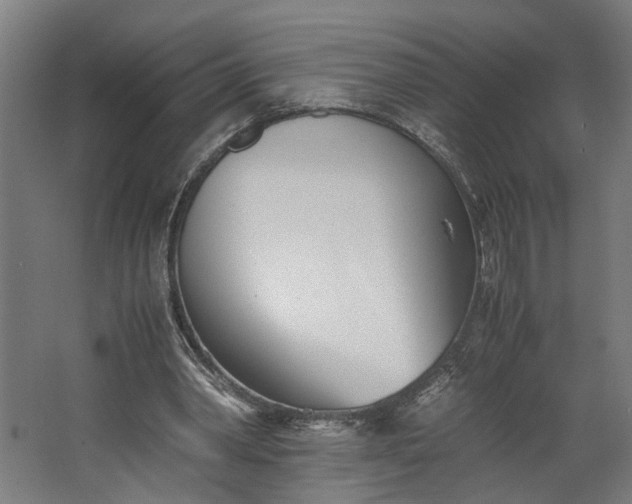 X0000062600390200601040919