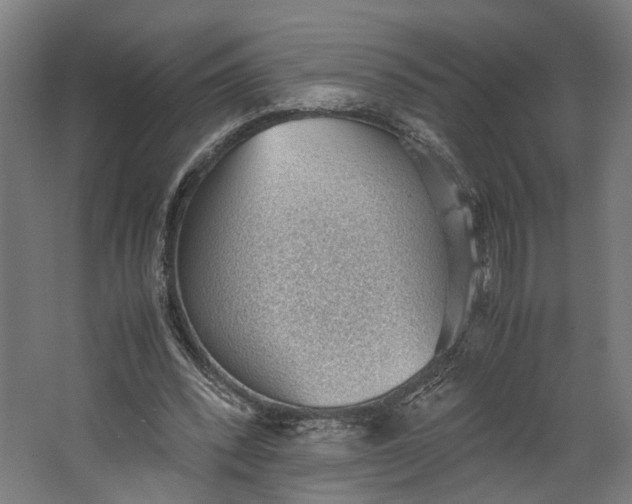 X0000062600392200601040919