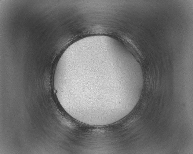 X0000062600394200601040919