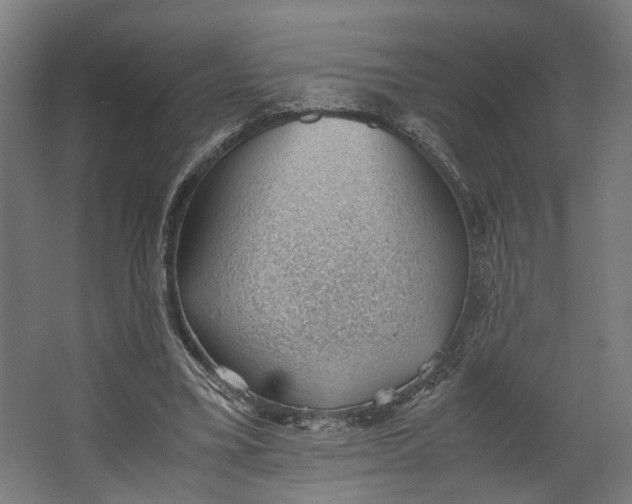 X0000062600395200601040919