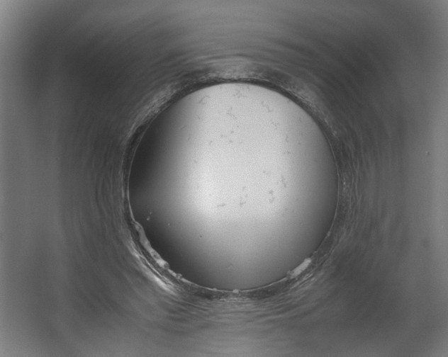 X0000062600397200601040919