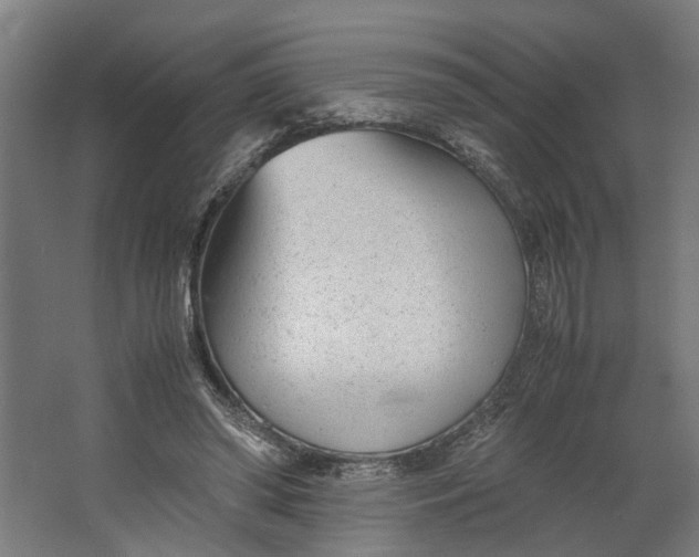 X0000062600398200601040919