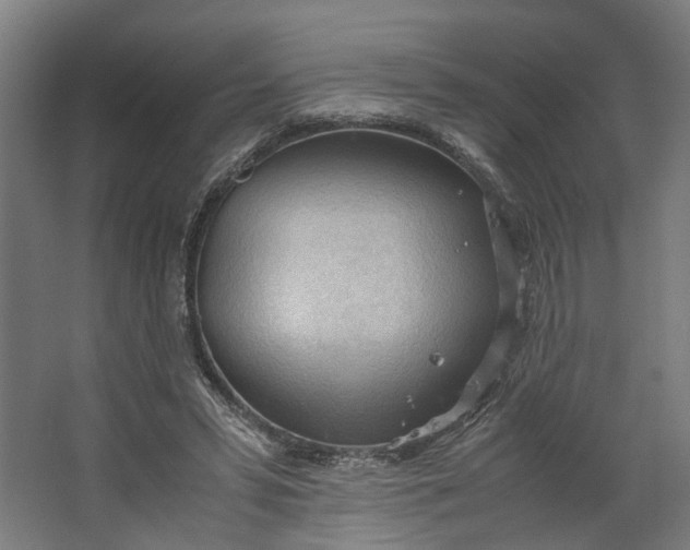 X0000062600399200601040919
