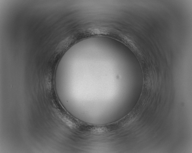 X0000062600402200601040919