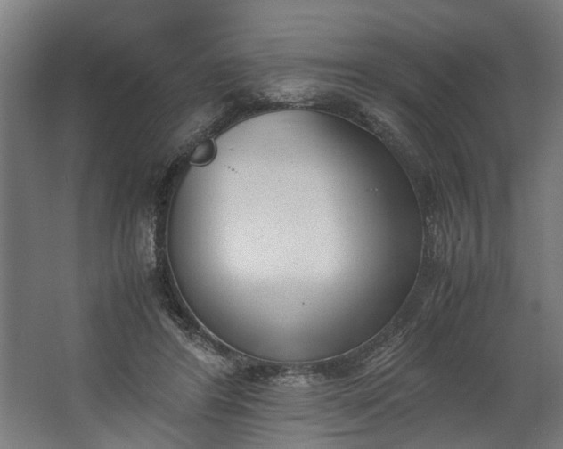 X0000062600404200601040919