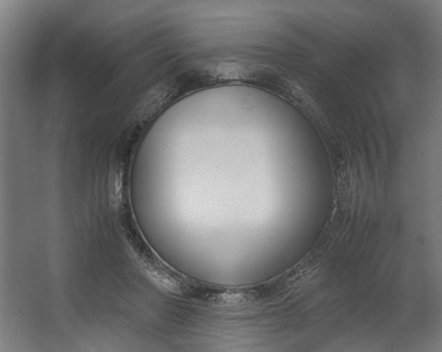X0000062600406200601040919