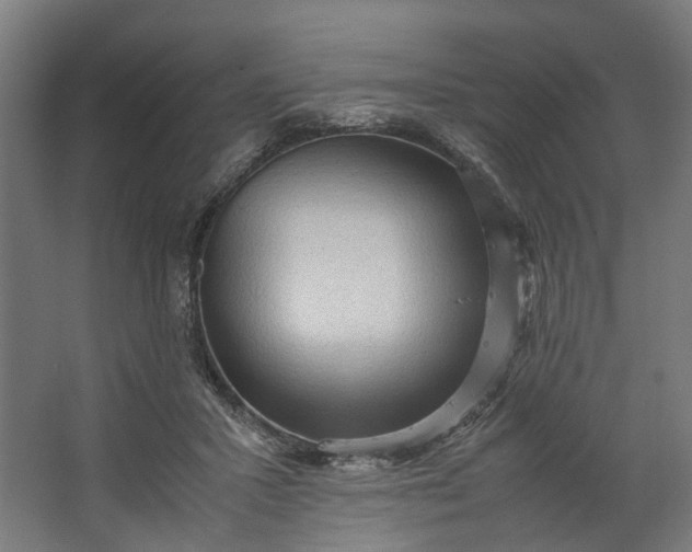 X0000062600407200601040918