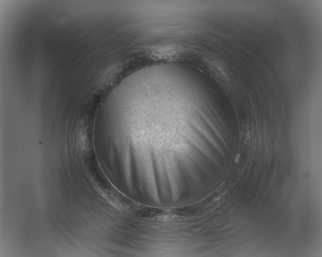 X0000062600408200601040918
