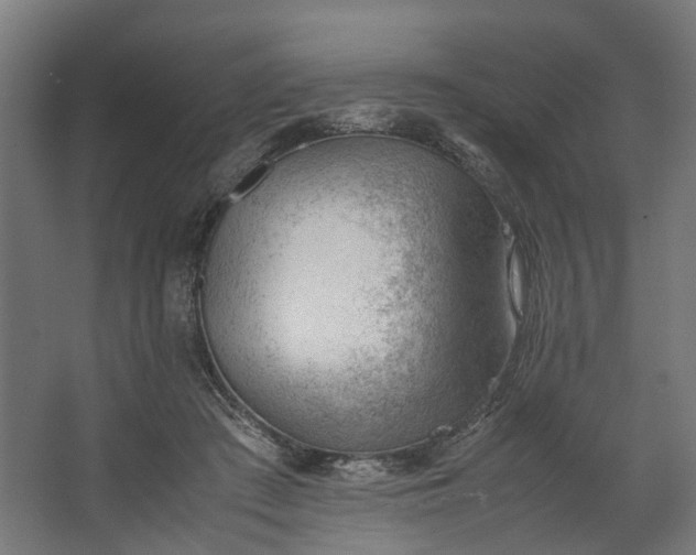 X0000062600409200601040918