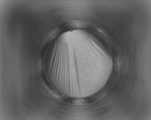 X0000062600410200601040918