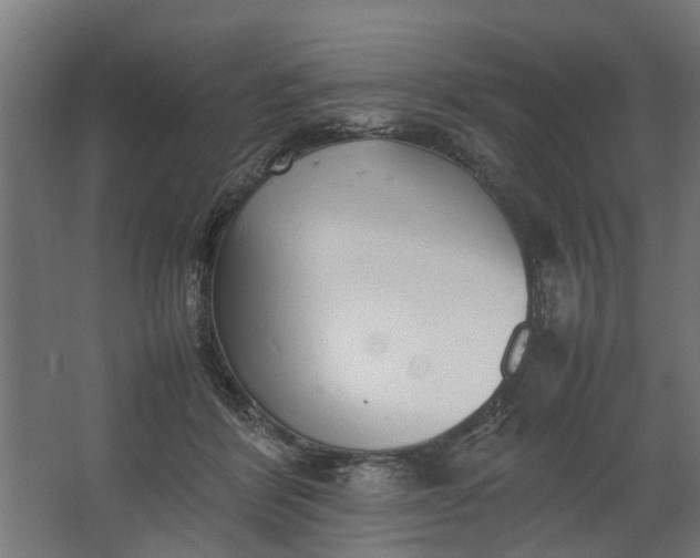 X0000062600412200601040918