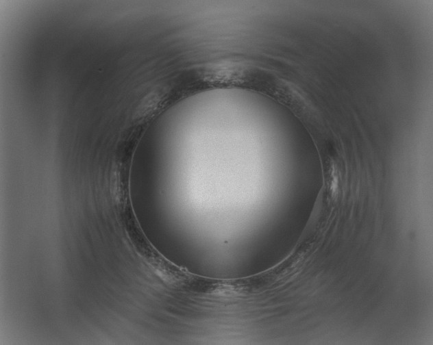 X0000062600416200601040918