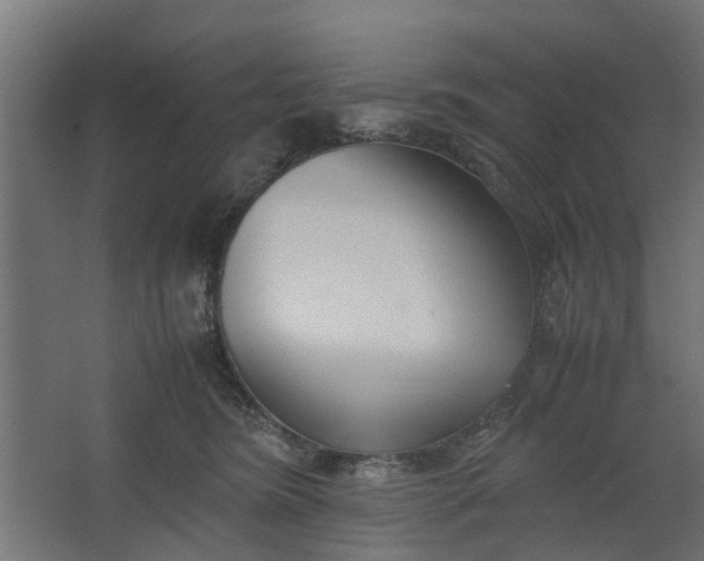 X0000062600420200601040918