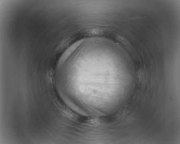 X0000062600423200601040918
