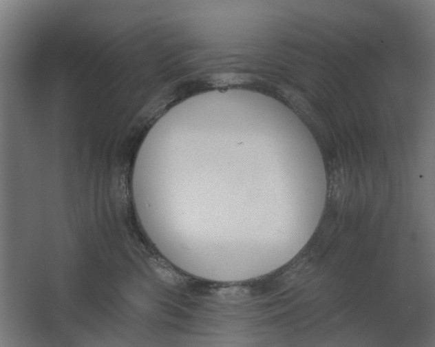 X0000062600426200601040918