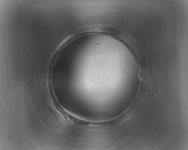 X0000062600434200601040917