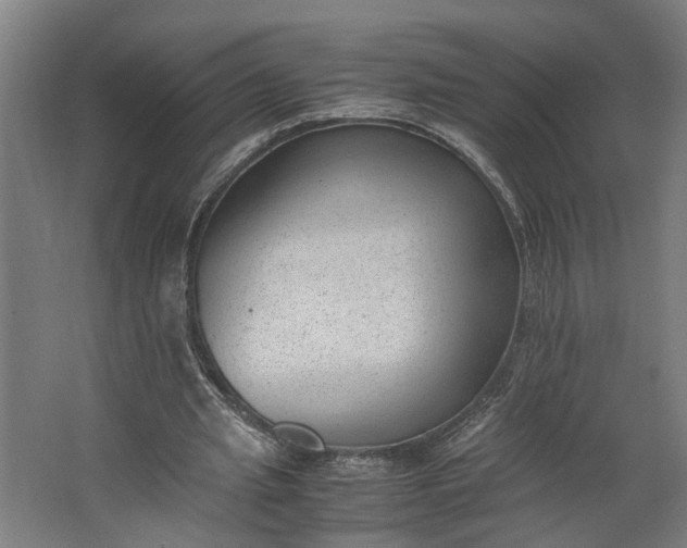 X0000062600437200601040917
