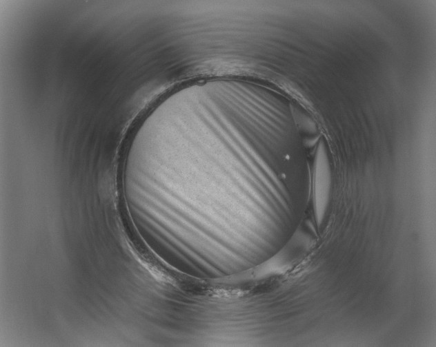 X0000062600438200601040917