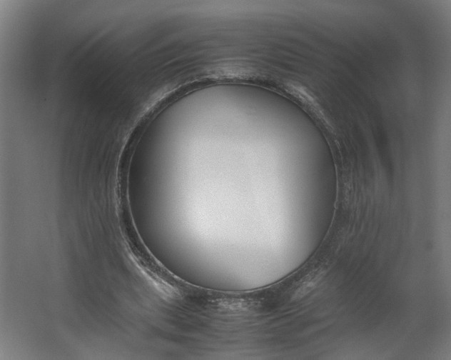 X0000062600439200601040917