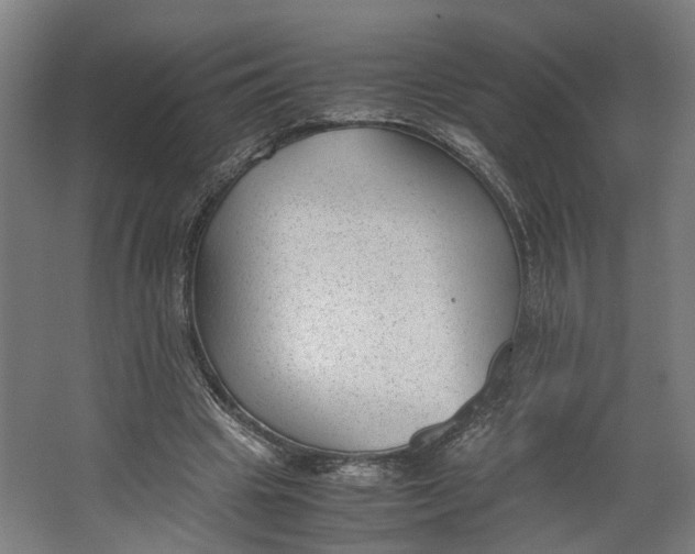 X0000062600441200601040917