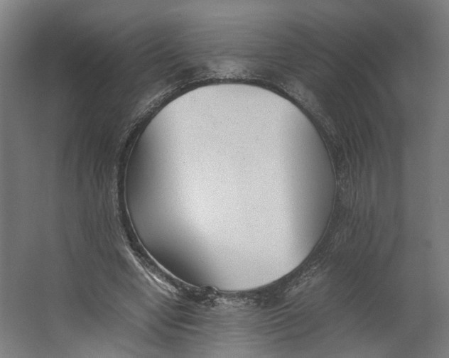 X0000062600442200601040917