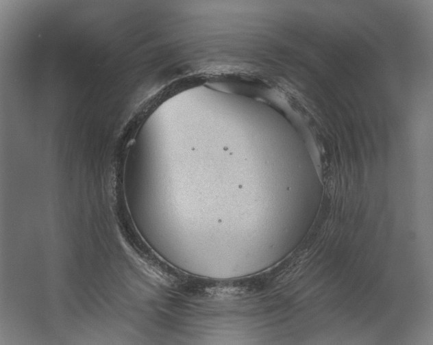 X0000062600448200601040918