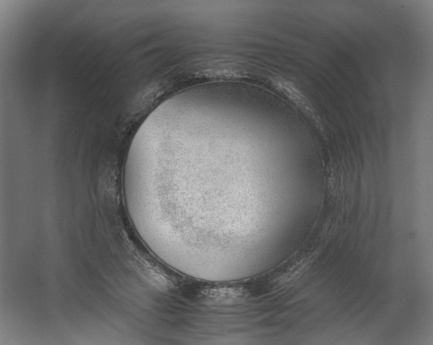 X0000062600449200601040918