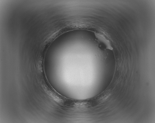 X0000062600450200601040918