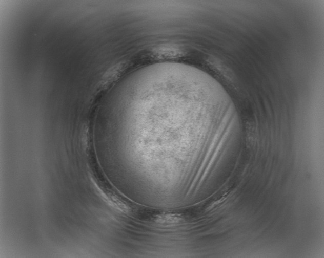 X0000062600451200601040918