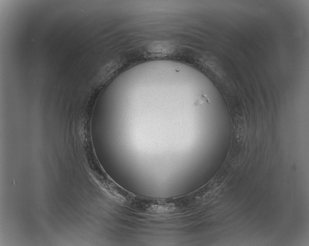 X0000062600455200601040918