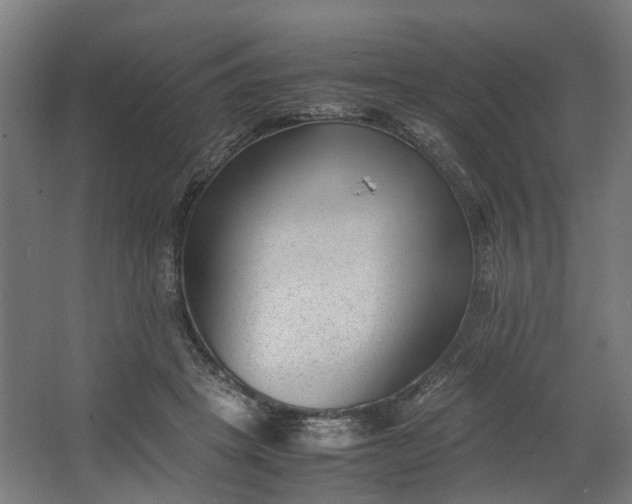 X0000062600457200601040918