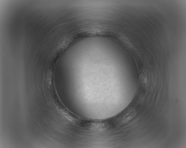 X0000062600458200601040918