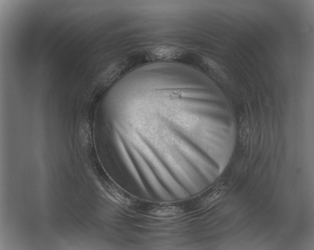 X0000062600459200601040918