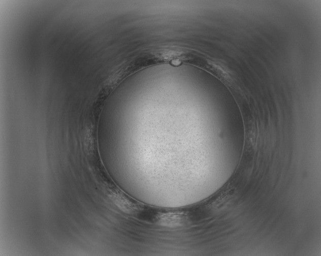 X0000062600461200601040918