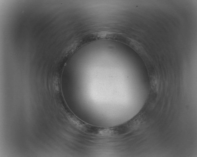 X0000062600470200601040918