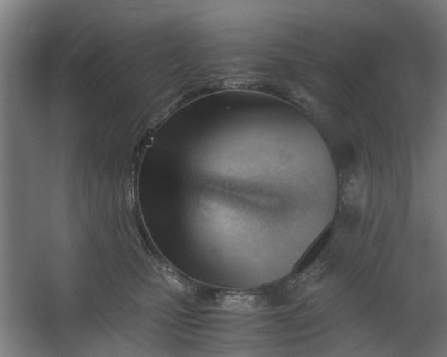 X0000062600471200601040918