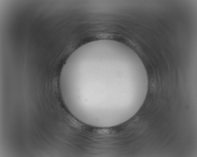 X0000062600473200601040918