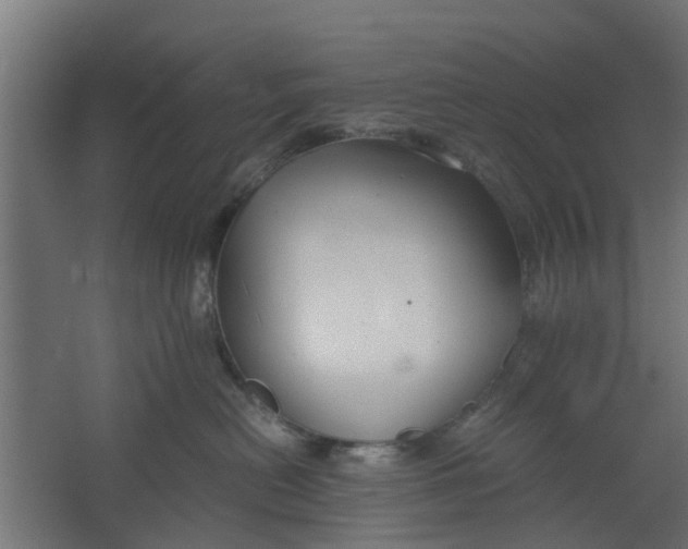 X0000062600478200601040918